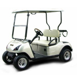 2 people Luxury sightseeing electric golf car